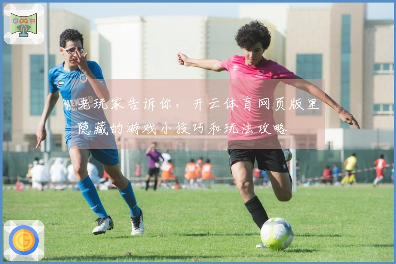 老玩家告诉你,开云体育网页版里隐藏的游戏小技巧和玩法攻略