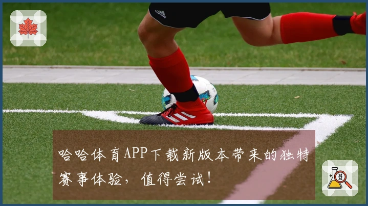 哈哈体育APP下载新版本带来的独特赛事体验，值得尝试！