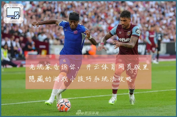 老玩家告诉你，开云体育网页版里隐藏的游戏小技巧和玩法攻略